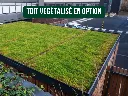 toit végétalisé.webp