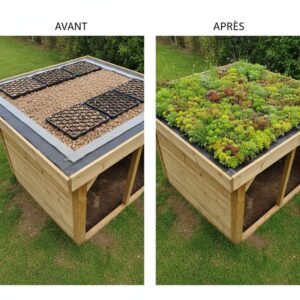 Comparatif avant/après d’un toit végétalisé sur une structure en bois, illustrant l’installation complète d’une toiture verte.