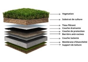 Schéma en coupe d’une toiture végétalisée montrant les différentes couches techniques : végétation, substrat de culture, tissu filtrant, couche drainante, couche de protection, barrière anti-racines, couche isolante, membrane d’étanchéité et support de toiture, utilisé pour les abris vélo design ou les abris vélo container.